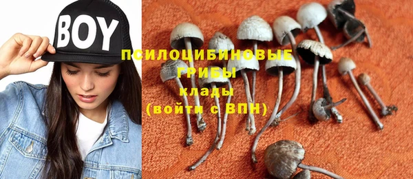 МДПВ Аркадак